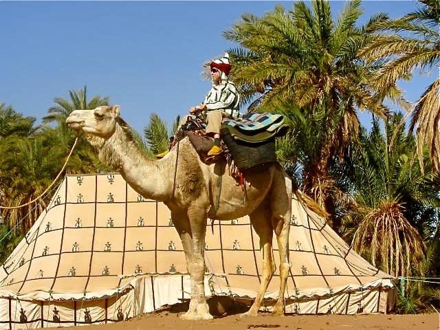 Hotel Dar Sidi Bounou M'Hamid Exteriér fotografie