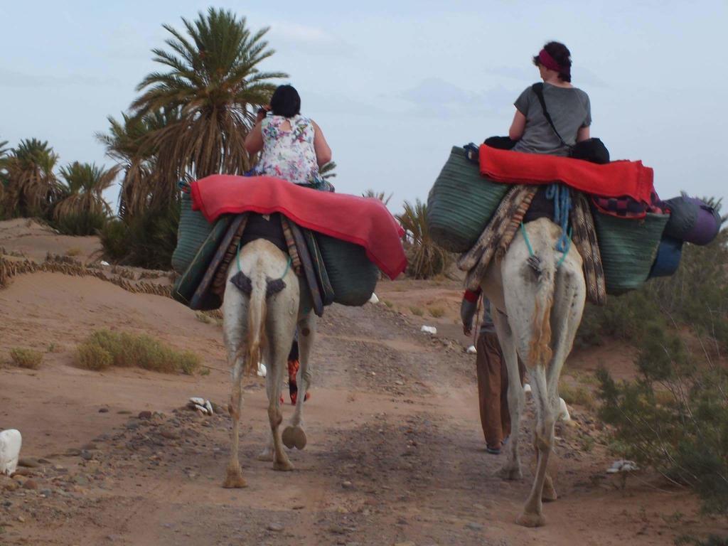 Hotel Dar Sidi Bounou M'Hamid Exteriér fotografie